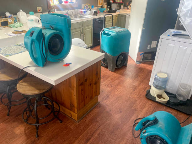 Best Ceiling water damage repair  in Carson, WA
