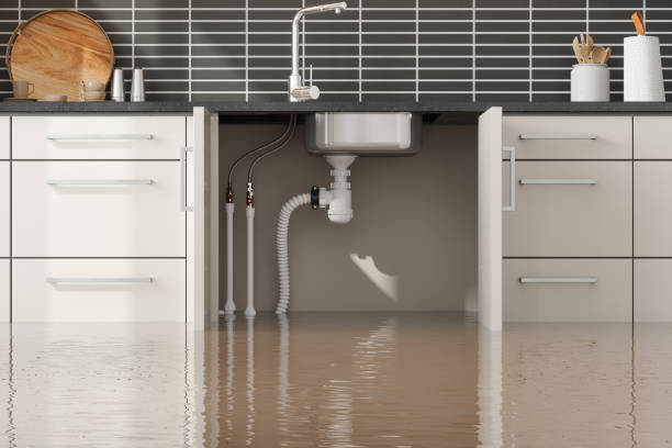 Best 24-hour water damage restoration  in Carson, WA
