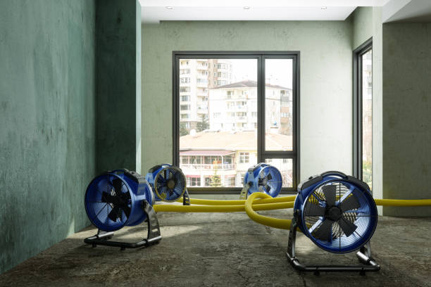 Best Water damage restoration near me  in Carson, WA