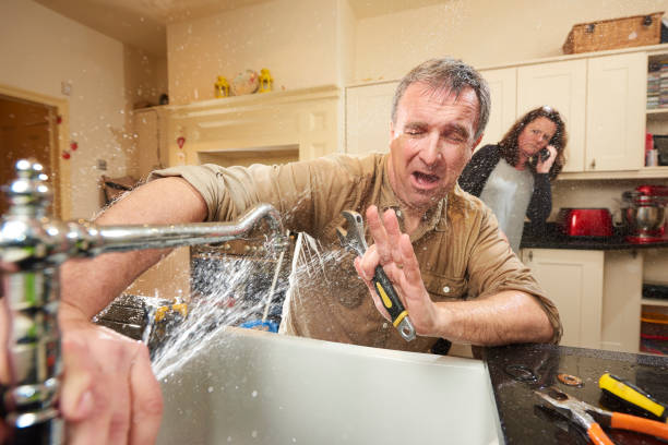 Best Flood restoration services  in Carson, WA